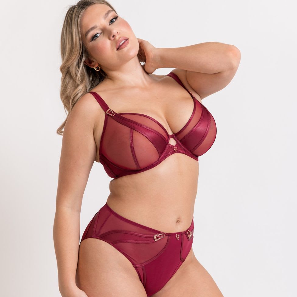 Scantilly Suspense Plunge Bra
