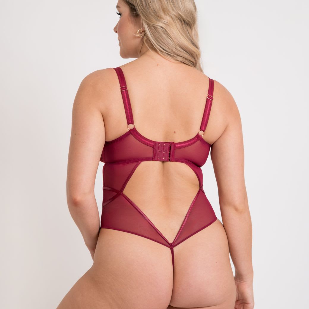 Scantilly Suspense Plunge Bodysuit