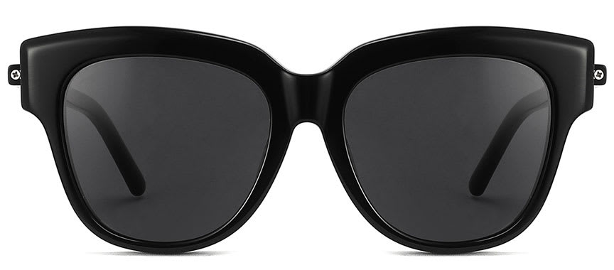 Optically SG4303 1