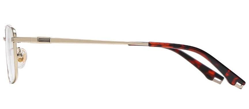 Optically F3846 2
