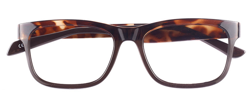 Discover ST002 Tortoise