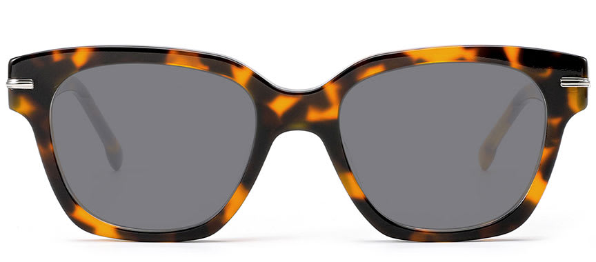 Optically SG6113 2