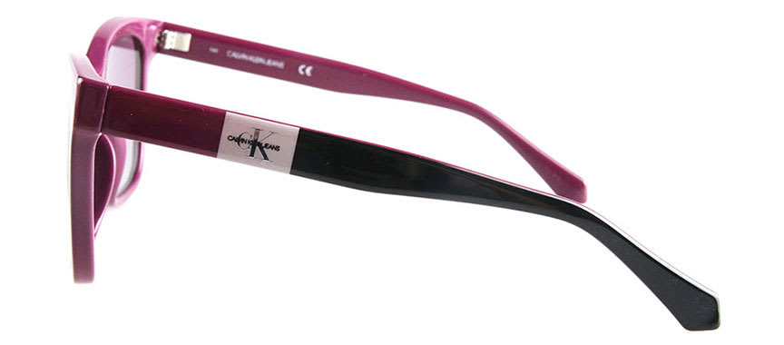 Calvin Klein CKJ21618S 500