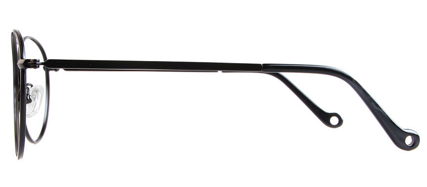 Titan Fuji C7013 C4