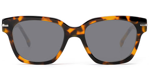 Optically SG6113 2
