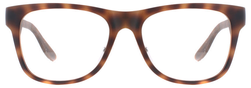 Carrera CA5533 DWJ