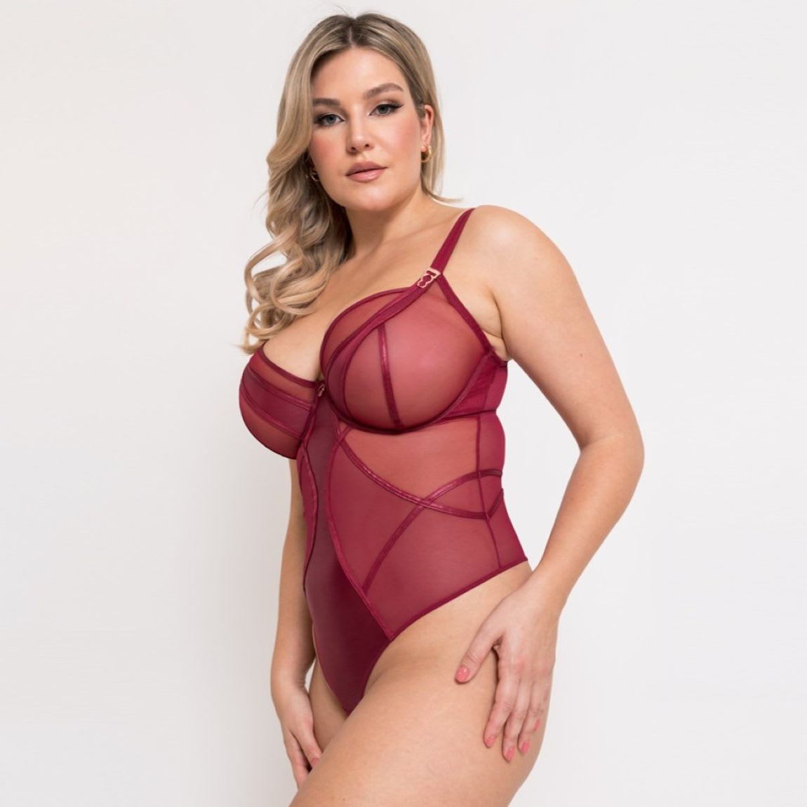 Scantilly Suspense Plunge Bodysuit