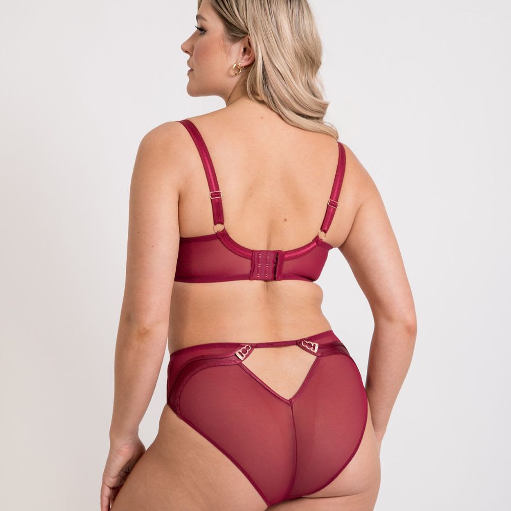 Scantilly Suspense Plunge Bra