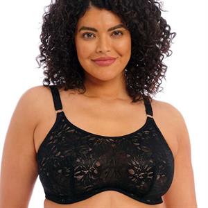 Elomi Bras Online from D to O Cup - Storm in a D Cup USA